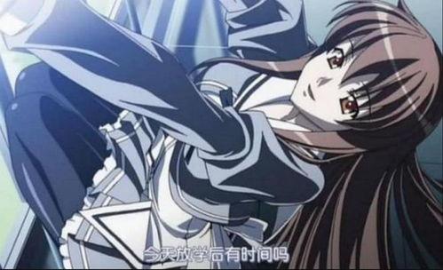 肉动画在线观看,在线观看，畅享视觉盛宴